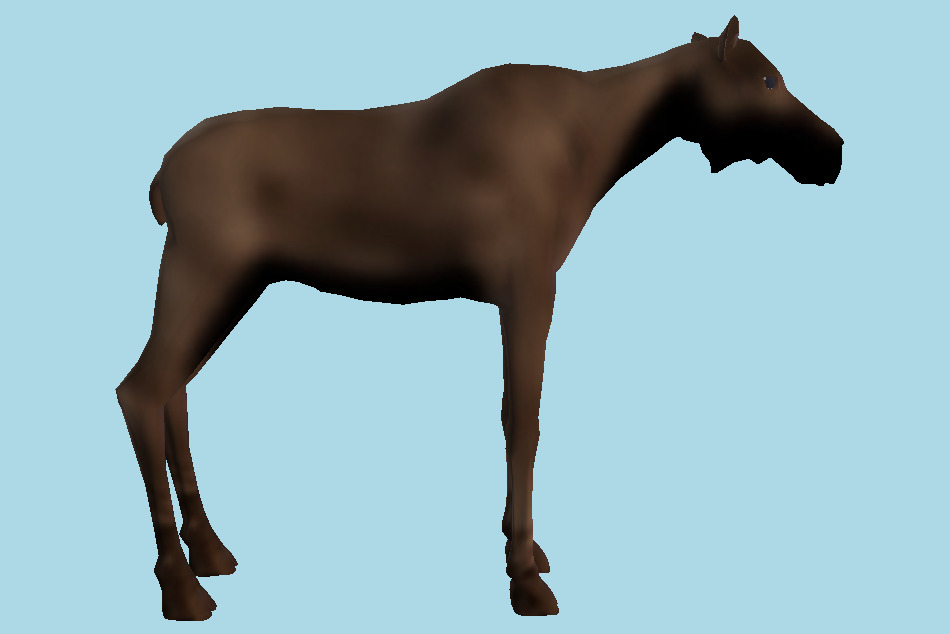 Female Moose Animal 3d model