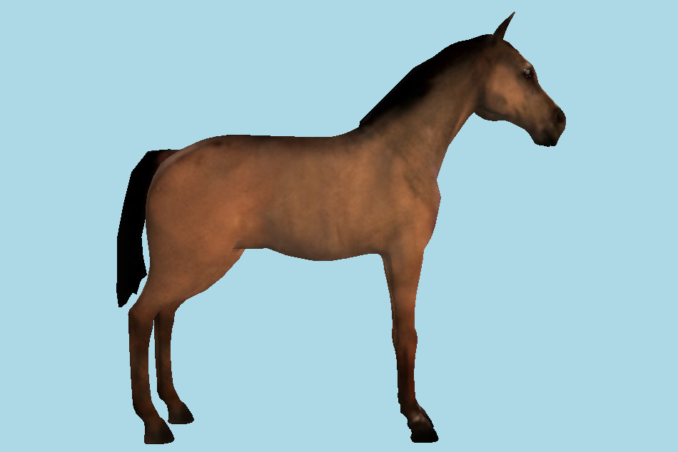 Domestic Horse Animal 3d model