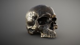 Old Treasure Skull ancient, bronze, secret, figurine, treasure, map, scanned, relic, photometry, realisitc, pbr-texturing, bronze-statue, pbr-materials, skull, decoration, pirates, inciprocal