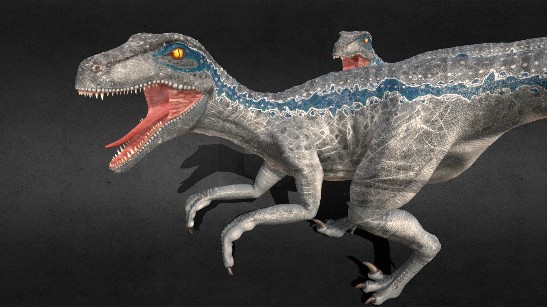 Hi,
This is my Velociraptor Blue From Jurassic world.
Sculpted in zbrush, Painted in Substance Painter, Rigged in Maya
The First Raptor is the High poly, the second is the low poly - Velociraptor - 3D model by Floris Vanderkerken (@floris_vdk) 3d model