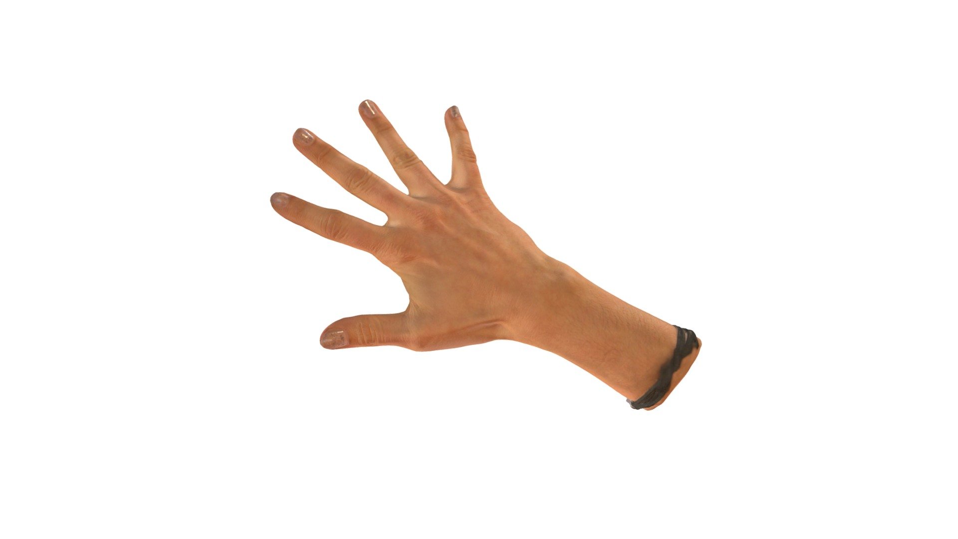 Hand (weiblich) Scan - 1 - 3D model by Scanmotion 3d model