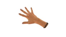 Hand (weiblich) Scan
