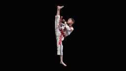 taekwondo bodyscan, human