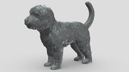 Cavoodle V3 3D print model stl, dog, pet, animals, figurine, 3dprinting, doge, 3dprint, dogstl, stldog