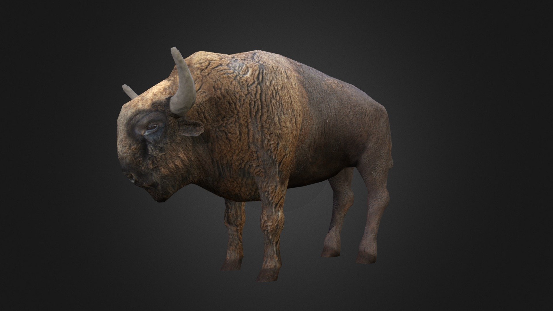 Bison - Buy Royalty Free 3D model by Ondřej Vališ (@throy) 3d model