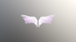 Fae Angel Wings 