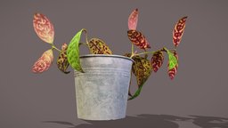 Lipstick Plant plant, plants, 3dscan, plant-scan, lipstick-plant, aeschynanthus