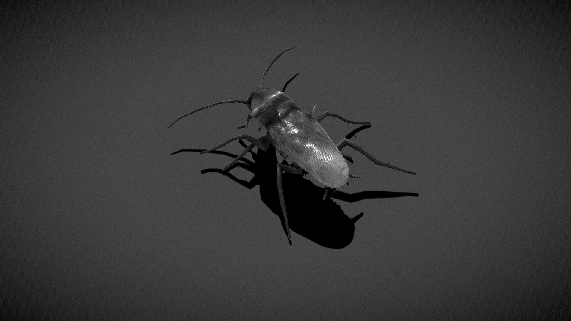 American Cockroach with a standar wallk cycle. include 3ds max and substance file - American Cockroach Walk Cycle - 3D model by Andres Bonomi (@andresbonomi) 3d model