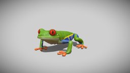 Red-eyed tree frog tree, frog, realistic, amphibian, treefrog, substancepainter, blender, animal