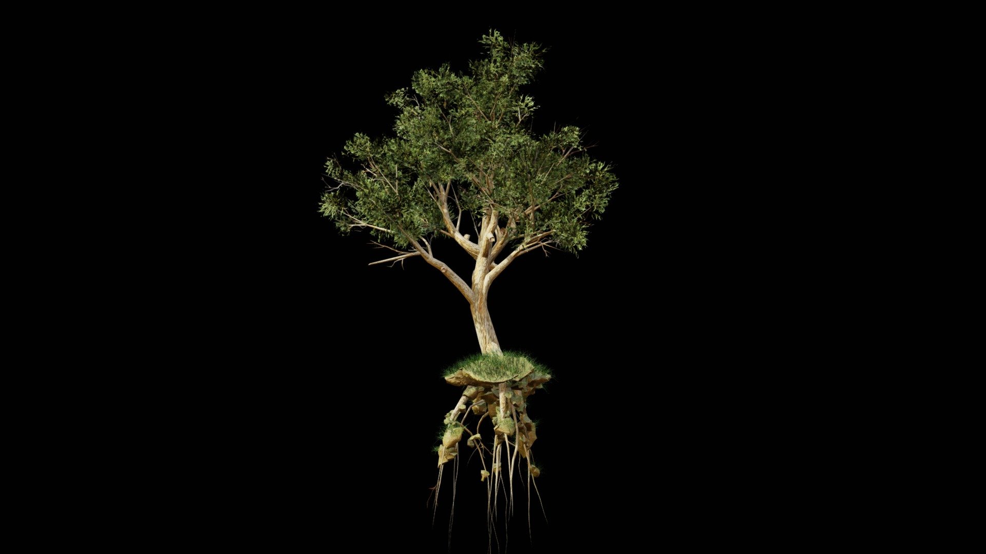 Tree test for client - 3D model by UJWAL CHAUHAN (@xamplle) 3d model
