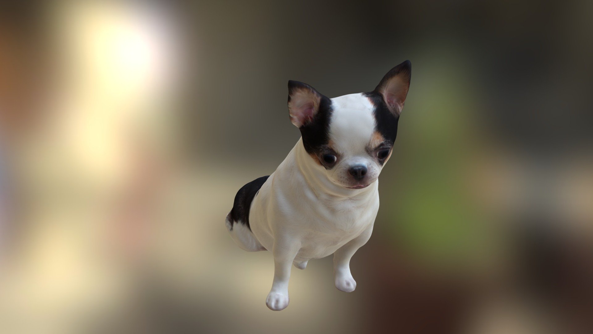 3D Scanned model - Scanned Chihuahua Dog-887 - Buy Royalty Free 3D model by Evan 3D Scanning studio (@Evan-3DScanningStudio) 3d model