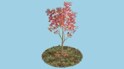 Maple Tree Scene 01 tree, red, maple, wip, workinprogress, handpainted, hand-painted