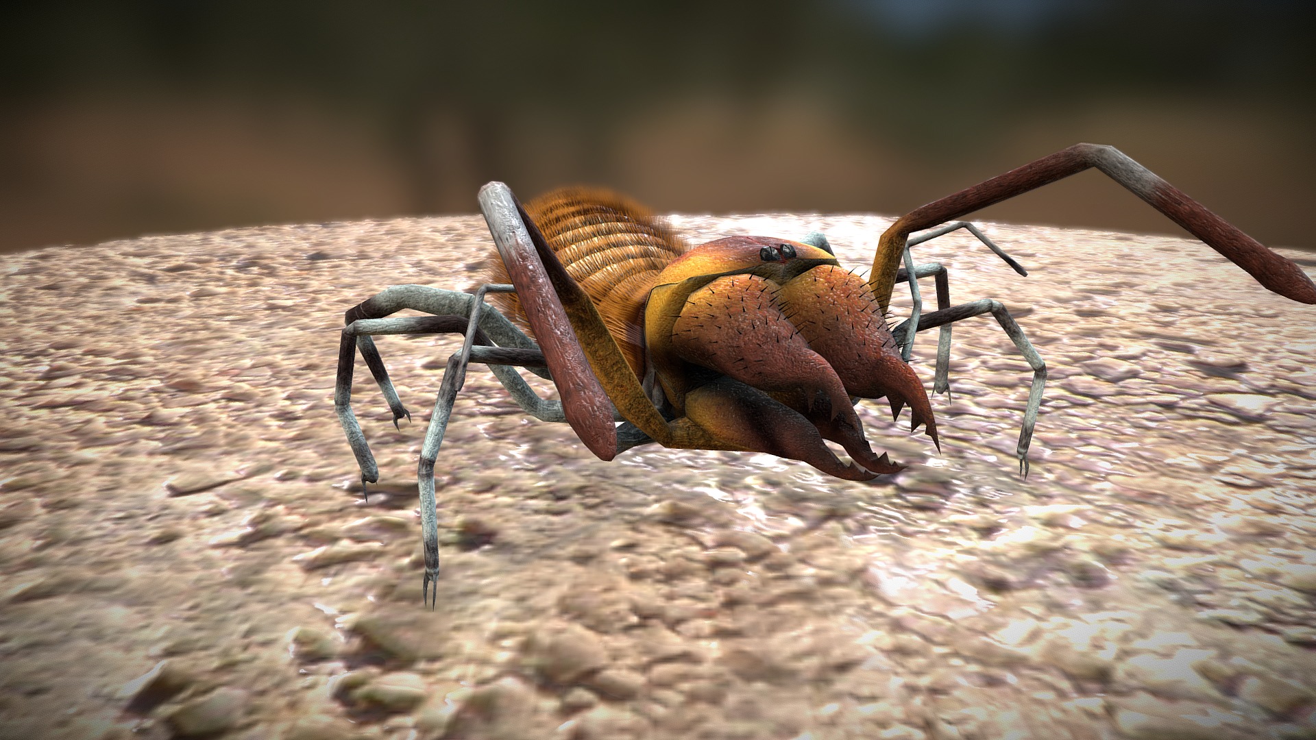 This is a game ready, textured and animated model of a sun spider (solifugid). Sun spiders are a fearsome, lesser known cousins of spiders and scorpions. They do not use venom or build webs. They simply chase down their prey and eat anything they can tear down with their huge jaws. It's time they take their place in games !  The Maya file contains the mesh, skeleton and control rig in separate layers. The rig is simple and intuitive, just animate the parameters that aren't locked. If you are familiar with Maya character sets I've also included animation set file that also includes a couple of animations to get you started. (Animations are saved in &ldquo;clips