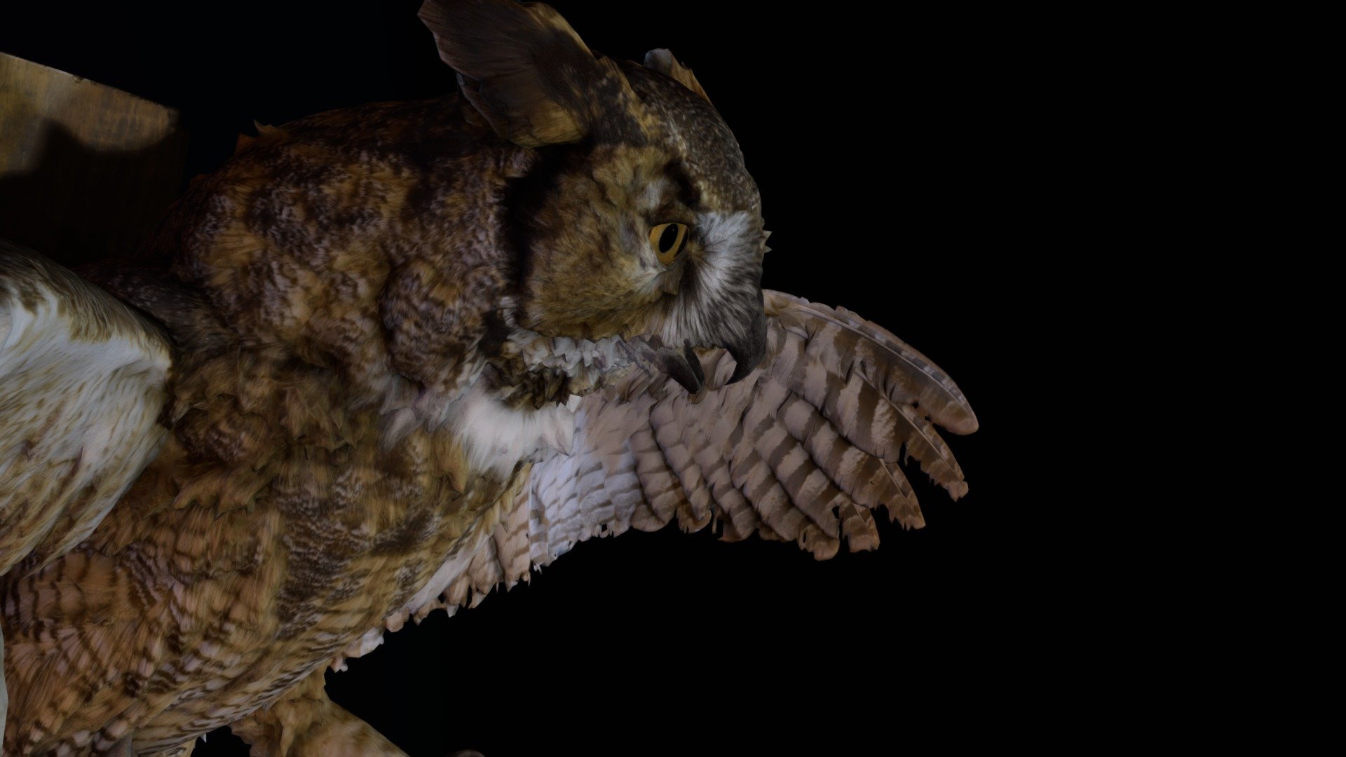 A little side project I have been working on just in time for Halloween! A great horned owl captured and recreated in RealityCapture. Post-processing and reconstruction done in Blender, Photoshop, and MeshLab. There was actually a ton of detail that was contained in the original model that unfortunately does not really come through when decimated. I may do a higher res bust of the head in the future, just to see what kind of detail I can accomplish 3d model
