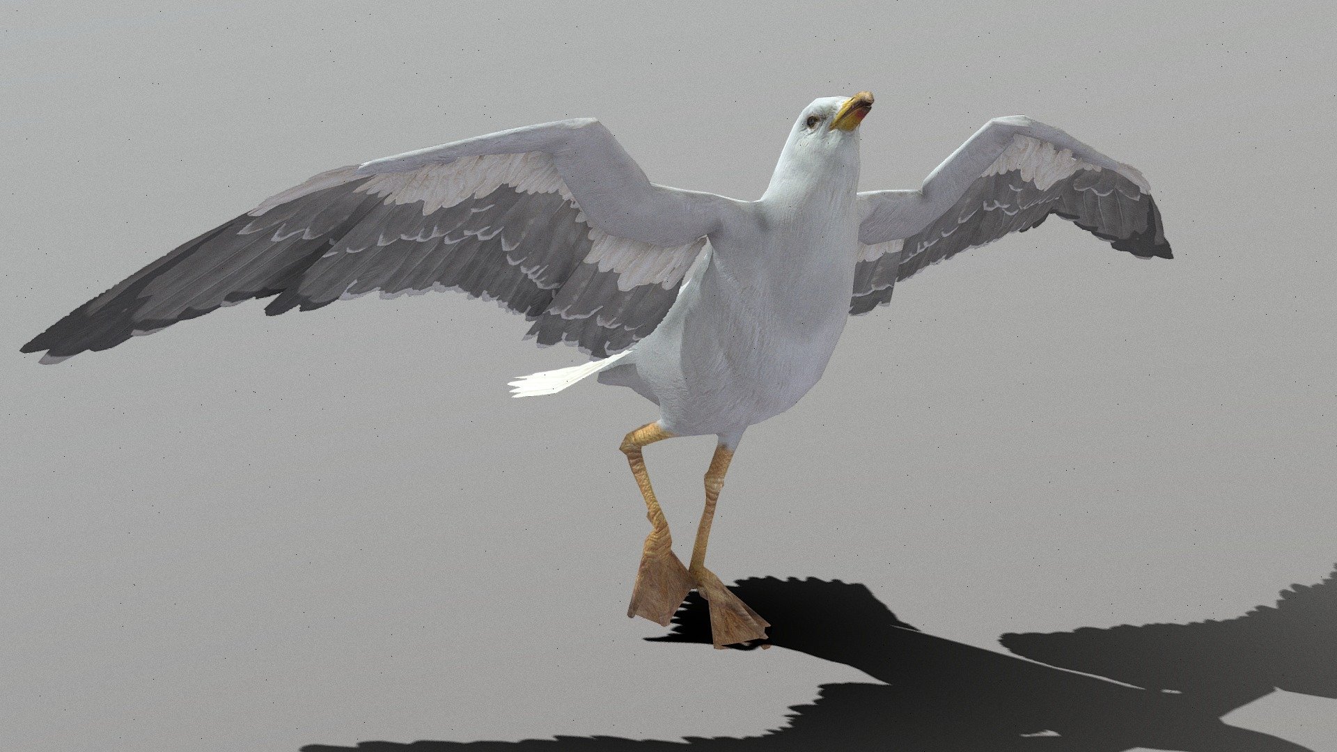 Seagull Animations
in fbx file format - Seagull Animations - Buy Royalty Free 3D model by aaokiji 3d model