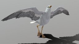 Seagull Animations flying, bird, birds, npc, seagull, idle, animals-creatures, seagulls, game, animal, animation