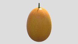 Kumquat Low Poly PBR