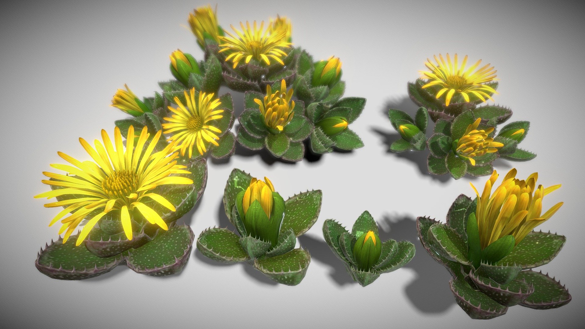HIGH QUALITY Flower optimized for Unity game engine!
Mobile Optimize Scene This is model 3D Flower Faucaria Tigrina in the Big Pack (Cartoon Flower Colections) with over 5 types color!
All objects are ready to use in your visualizations.
-1024x1024, texture maps
- Poly Count : Average 209729  polys /199022 tris - Flower Faucaria Tigrina - Buy Royalty Free 3D model by vustudios 3d model