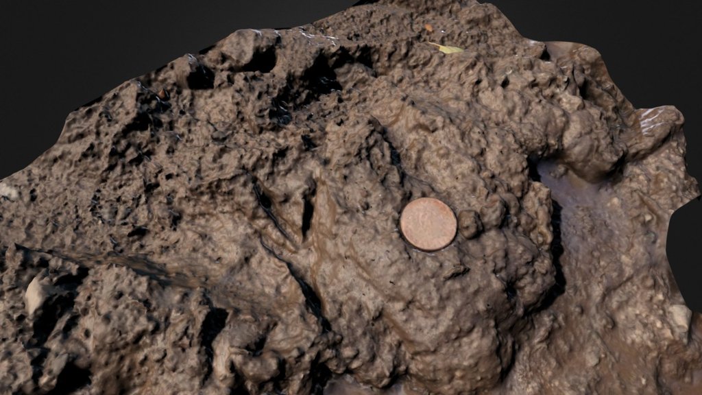Bird track in deep mud from near Raby, Wirral, UK. 2p for scale. Notable for the very deep impression and seemingly low interdigital angles.

Model made with Autodesk ReMake - Bird Track soft mud - Raby, Wirral (3) - Download Free 3D model by PeterFalkingham (@pfalkingham1) 3d model