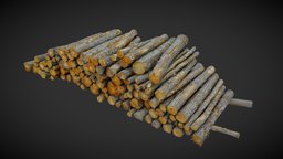 Pile of logs, heap of wood 01 trees, tree, wooden, forest, logs, log, pine, 3d-scan, cut, trunk, bark, nature, fall, stack, spruce, harvesting, chop, felled, photoscan, realitycapture, photogrammetry, wood, gameready, ue5, barkless, noai