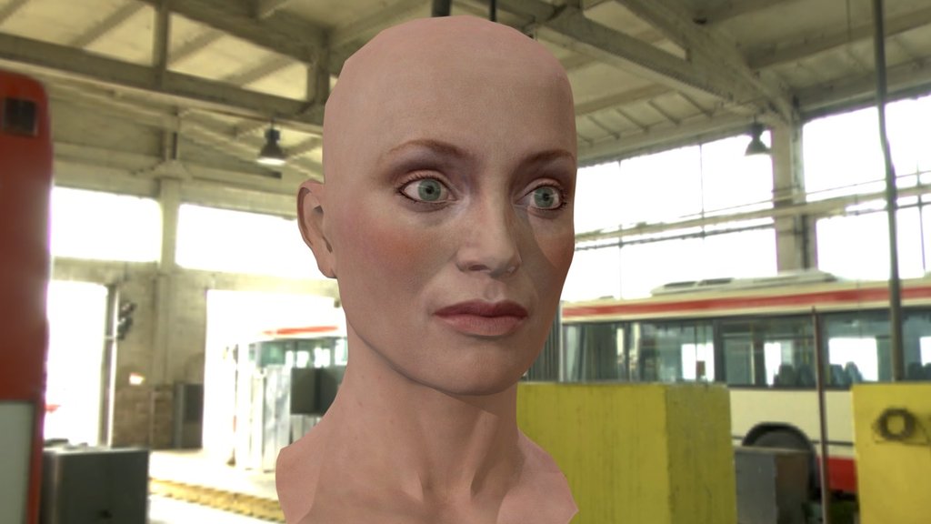 The 3d model Lotte Verbeek head. The 3d character available here: 
http://steplont.blogspot.com/2016/05/the-3d-model-lotte-verbeek-head.html - The 3d model Lotte Verbeek head 3d model