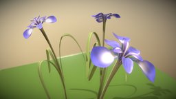 Iris Flower (High-Poly with Vertex Color)