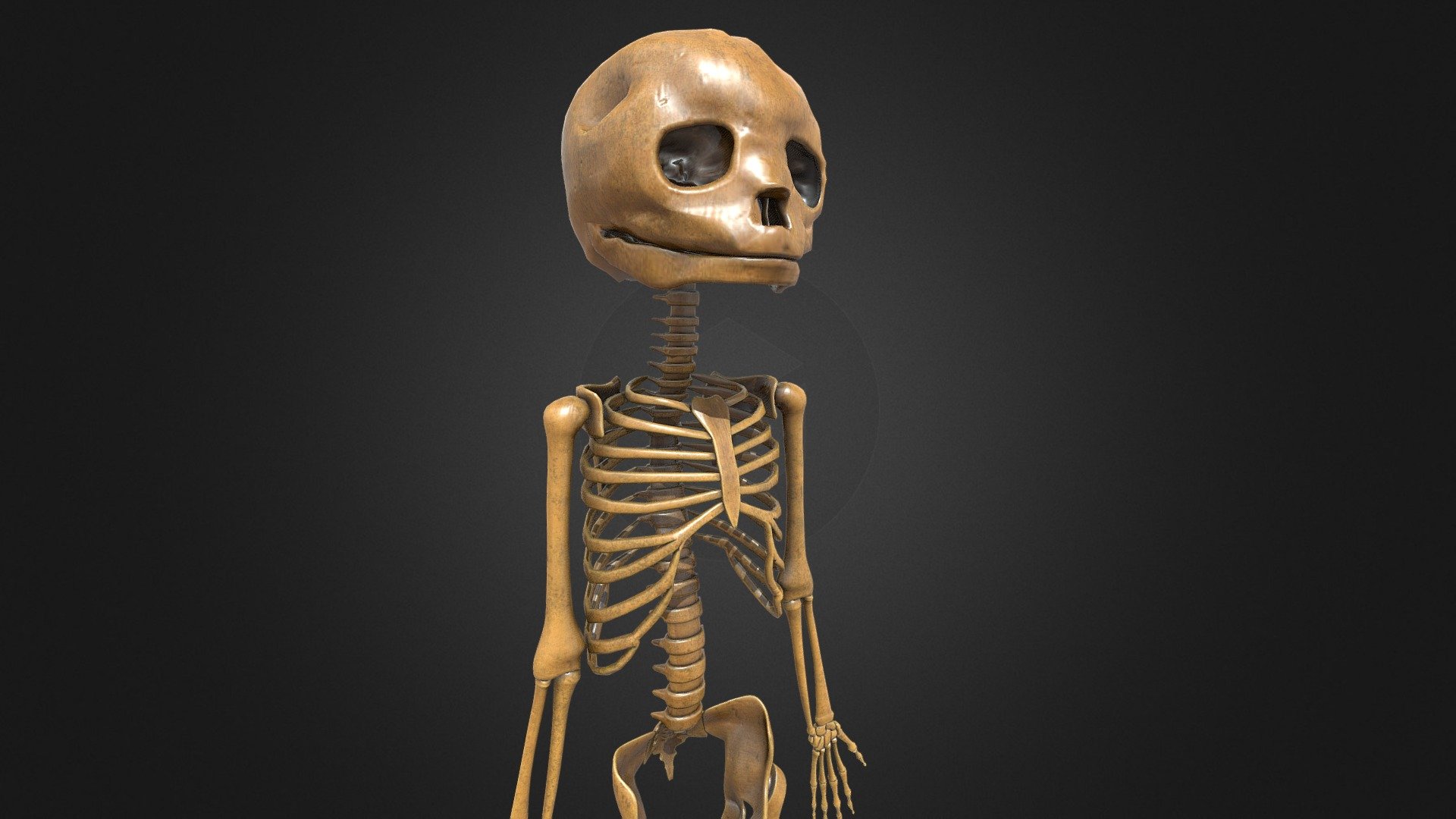 Foetus Skeleton - PBR 
4K texture
https://www.artstation.com/marketplace/p/NJzW/foetus-skeleton-pbr-low-poly - Foetus Skeleton - PBR - Low-poly - 3D model by Murtaza.Boyraz 3d model