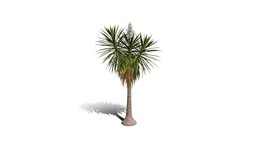 Realistic HD Spineless yucca (7/30) trees, tree, plant, plants, desert, outdoor, foliage, nature, succulent, north-america, scrubland