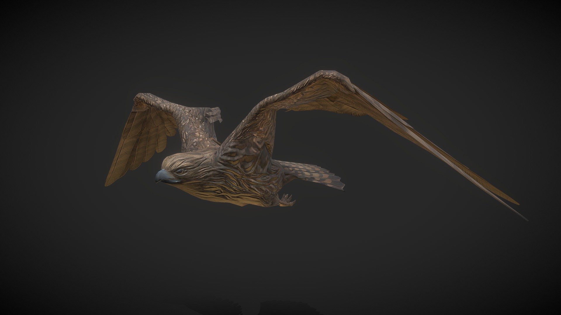 Animals: Hawk - 3D model by Klaudia Naumann (@klaudia_naumann) 3d model