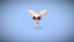 Lucifer The Chihuahua Dog cute, dog, small, puppy, chi, eyes, sweet, chihuahua, animal, funny