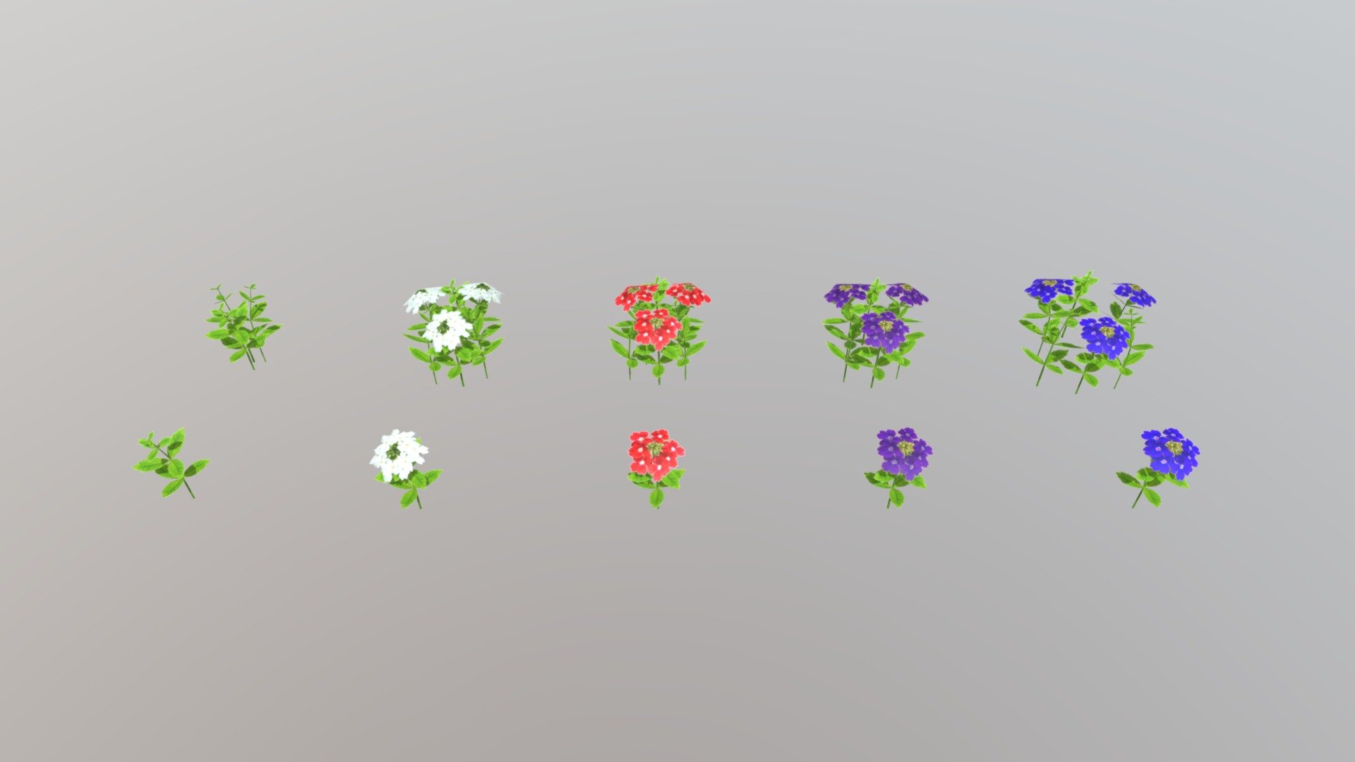 Low Poly Verbena Flowers
Blue, Violet, Red, and White.
OBJ file type 3d model