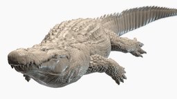 Swimming Purussaurus Sculpt stl, crocodile, paleontology, reptile, rick, alligator, paleoart, paleo, caiman, miocene, purussaurus, 3d, model, paleoartist, stikkelorum, crocodillia