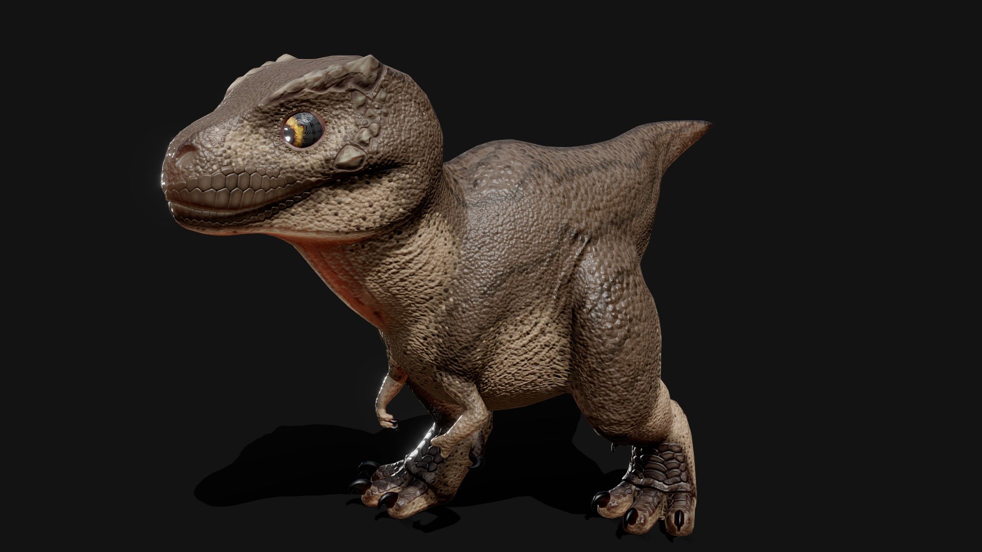 A little baby T-Rex 3d model