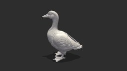 Goose bird, high, duck, print, statue, goose, poly, animal, sculpture, interior