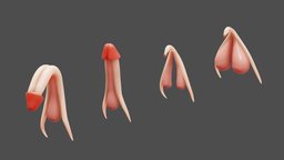 Clitoris and Penis Anatomy
