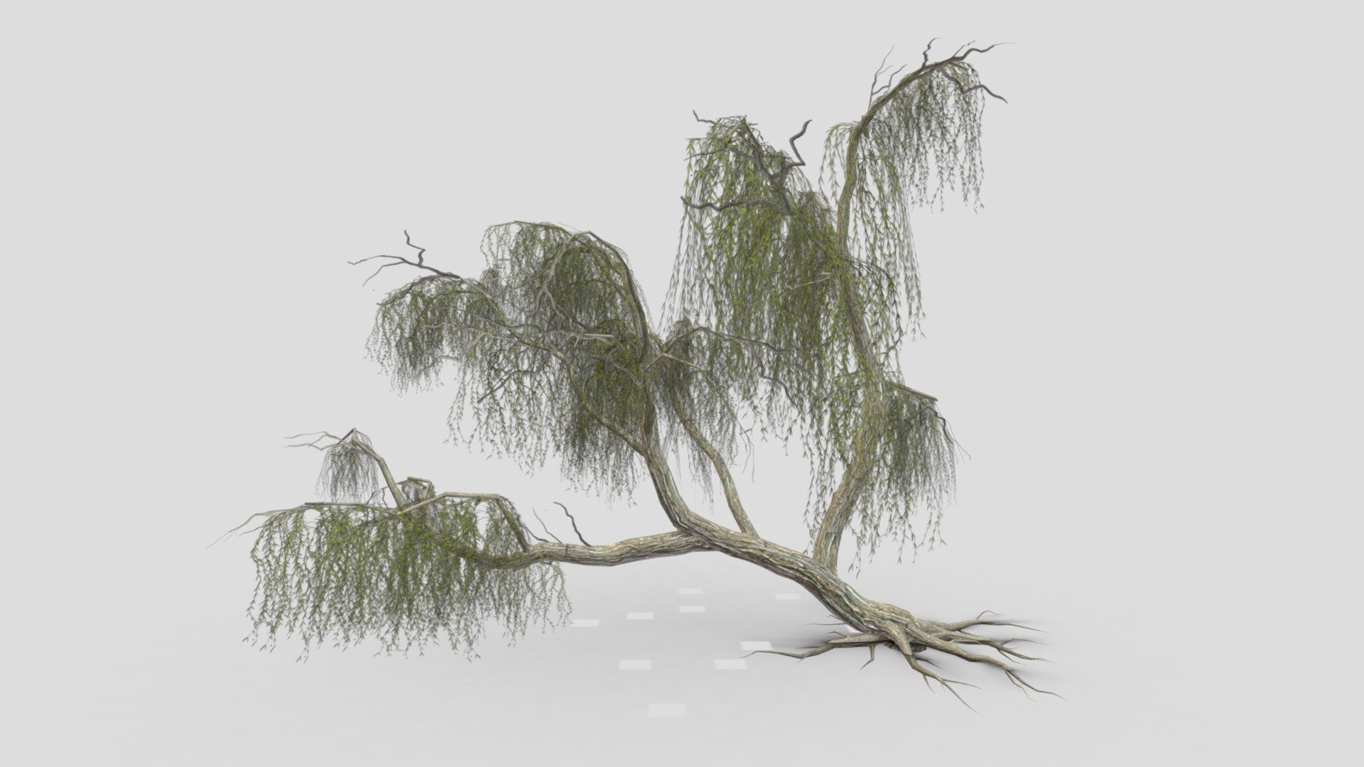 I try to provide low poly model of the Weeping Willow tree to use for your game project. I hope this model will be useful for you 3d model