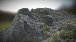 Boulder- Serpentinite agisoft, photoscan