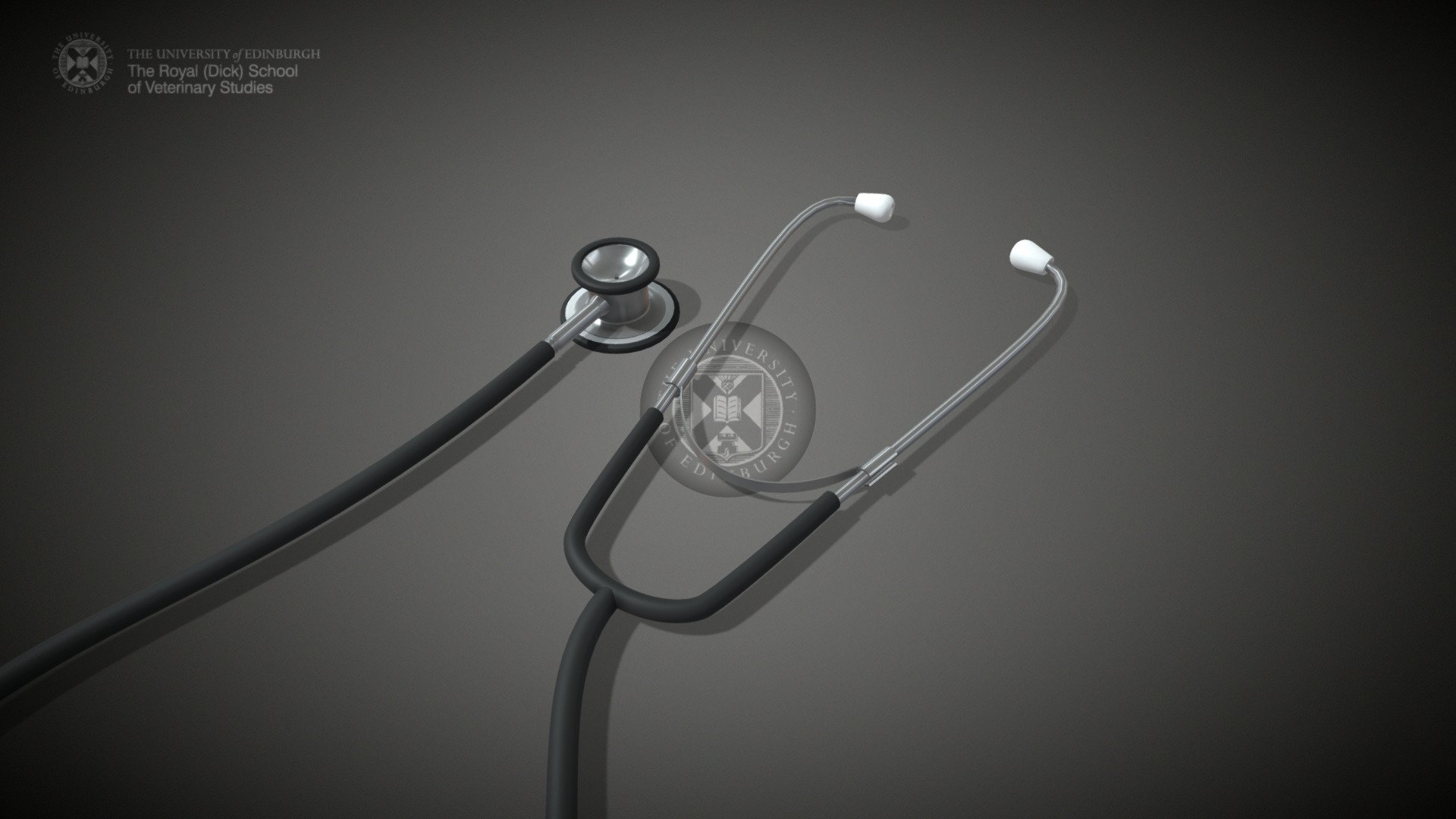 Generic stethescope as used by veterinary professionals - Stethoscope - 3D model by Brian Mather (@brian.mather) 3d model