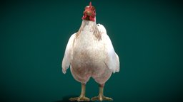 Hen The Chick (Game Redy)