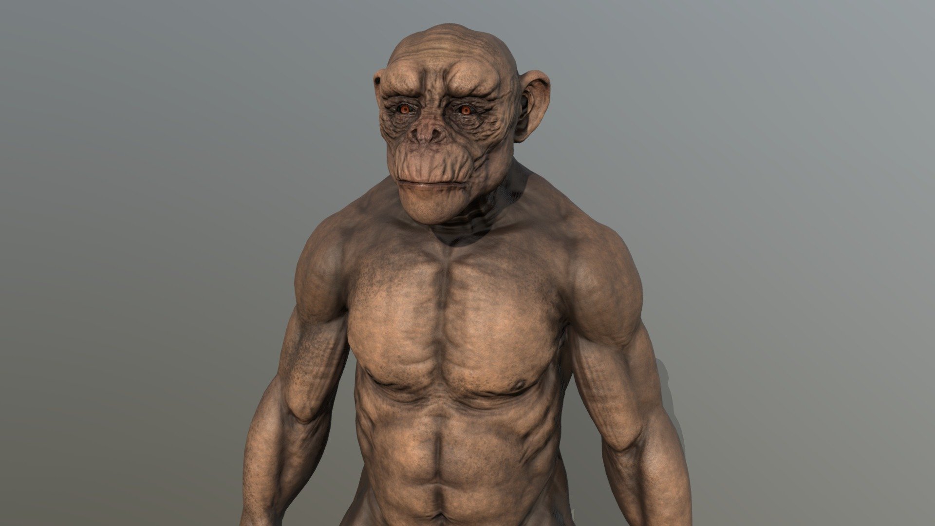 Full body bald chimp. good topology for riggin and animation - BaldChimp - Buy Royalty Free 3D model by CrisLArt (@crispichu25) 3d model