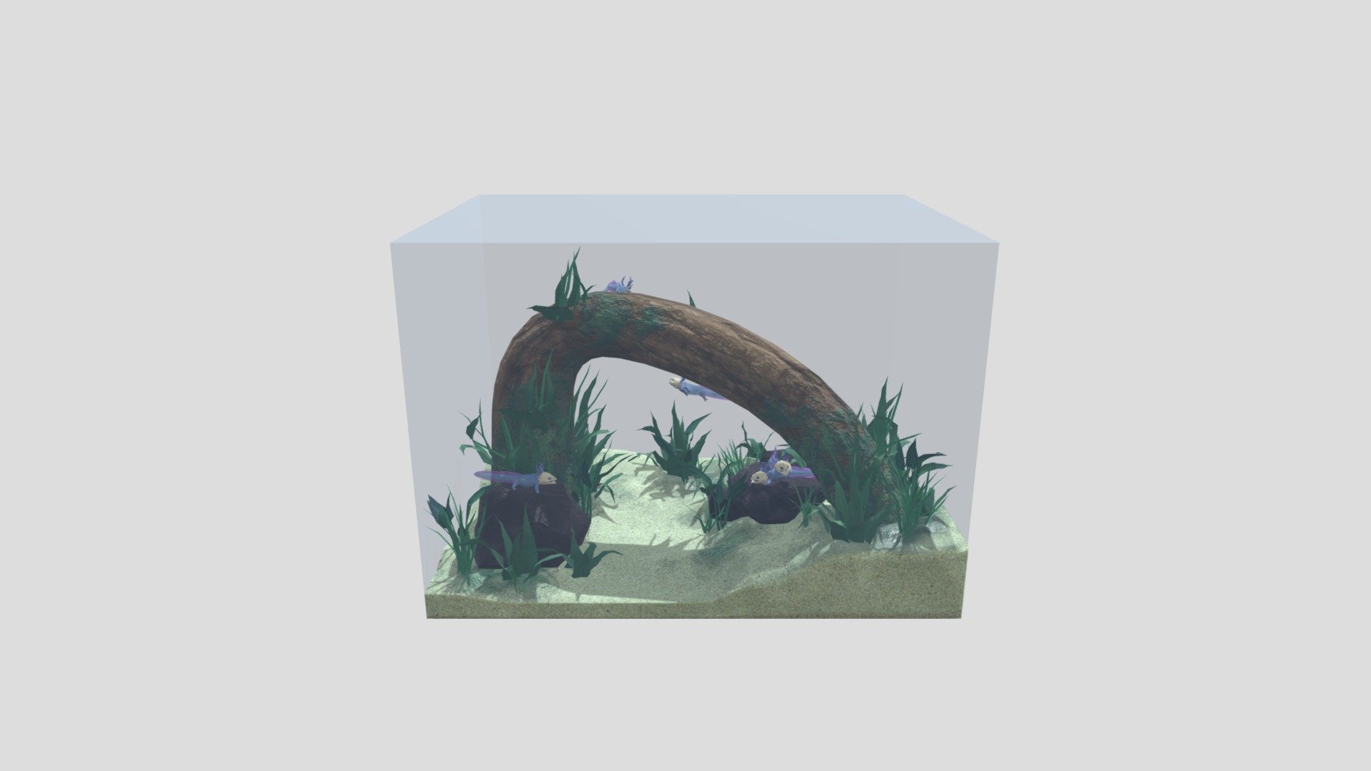 The final 3D composition of the Skelotl creature and the fish tank environment assets I made for my 3D exam 3d model