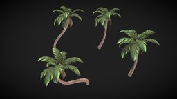 Palm plant, palm, prop, palmtree, digitalart, digital3d, caribean, pirate, stylized