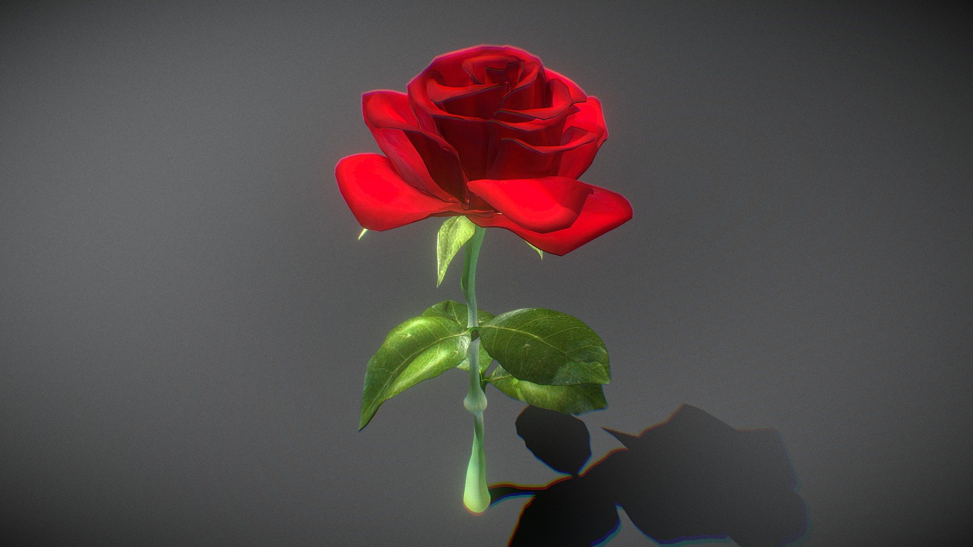 This is a beautiful rose model Especially suitable for giving away on Valentine’s Day.

2 materials with 2048 * 2048 textures.

Triangles: 64066  Vertices: 44548

(Viewer Setting above are just a preview and may vary drastically depending on your lighting and shading setup on the final application)

If you have any questions, please feel free to contact me.
 
E-mail: zhangshangbin1314159@gmail.com
 - Rose - Buy Royalty Free 3D model by Zhang Shangbin (@zhangshangbin1314159) 3d model