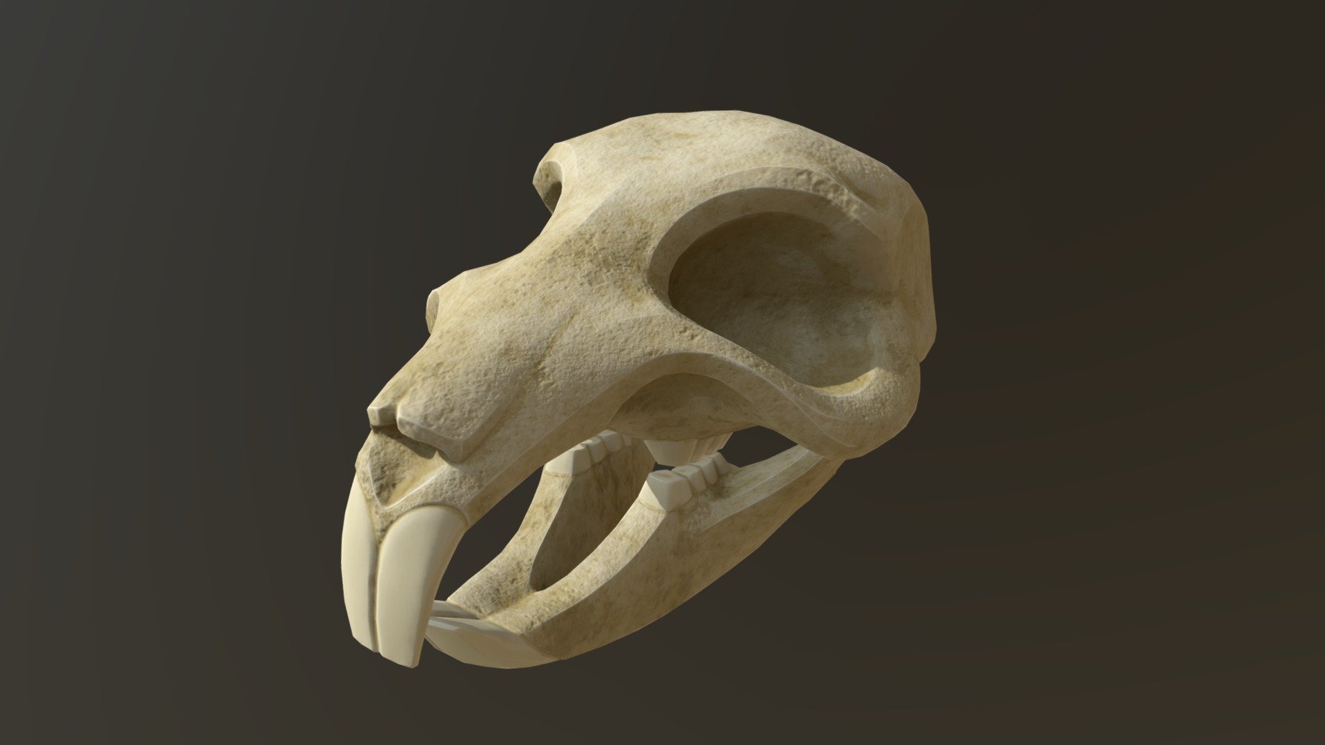 A stylized rat (or similar rodents') skull 3d model