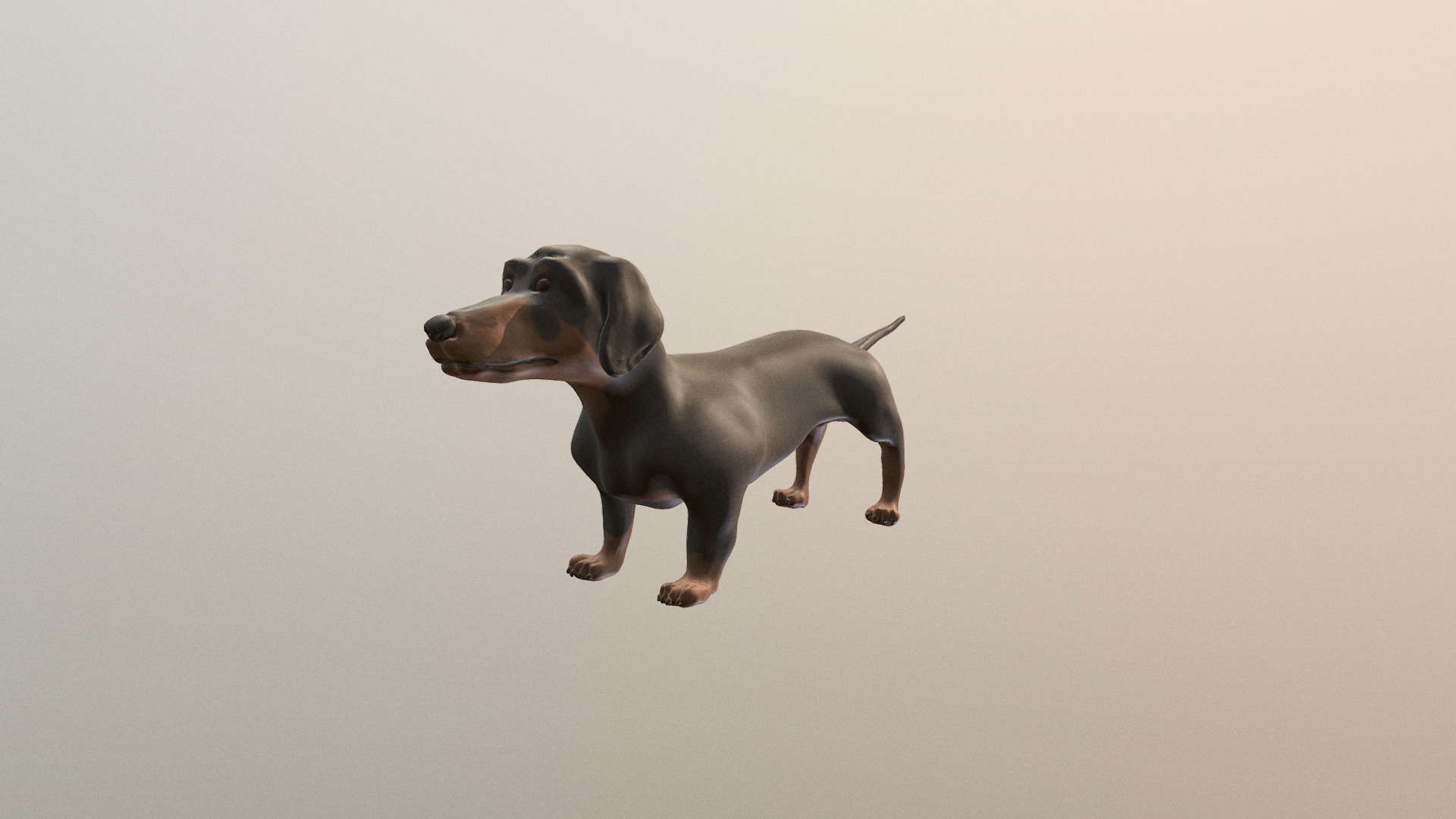 Dog - Dog Dachshund -Tacskó - Download Free 3D model by PAndras (@PusztaiAndras) 3d model