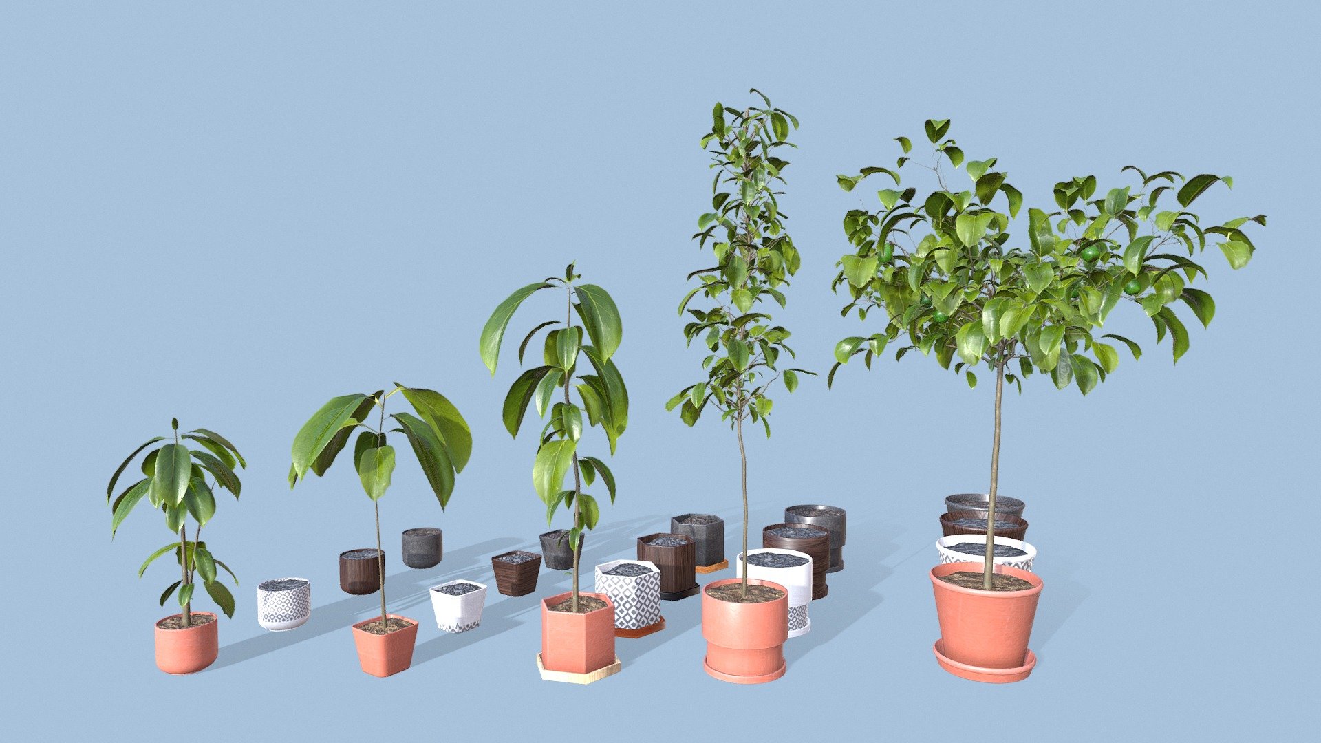 Collection of Avocado Trees  Plants Vol 05 , 
Collection 5  models of avocado trees 
Collection of 4 decorative pots and vases , each one 4 style all objects 
Download includes .obj ,.fbx, ,blend 
file for each object. Textures: 2K PBR






 - Collection of Avocado Trees - Plants Vol 06 - Buy Royalty Free 3D model by dika3d (@ikad2023) 3d model