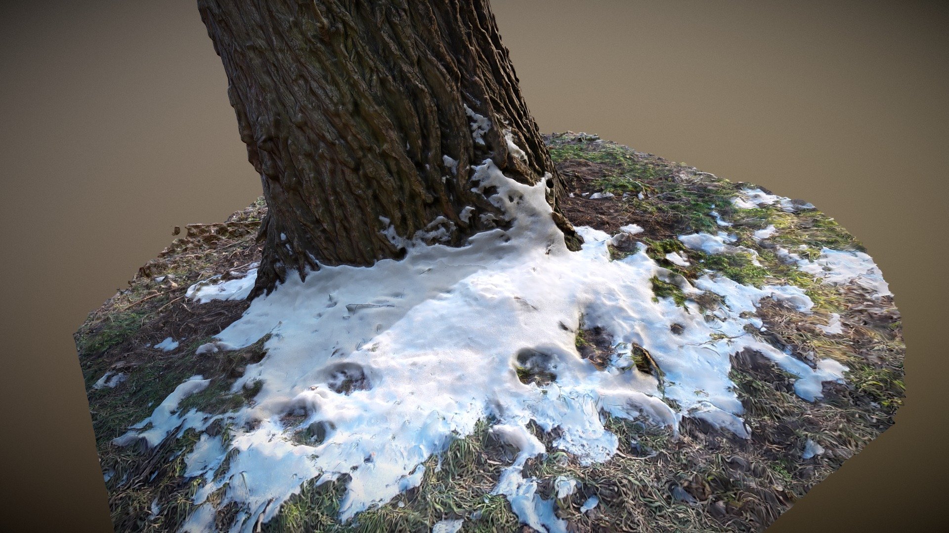 Photogrammetry from 73 Images

Camera: Samsung A5 (13 Mpx)

Image Quality 0.77-0.85

 - [3D-Scan] "Tree Stub" - Download Free 3D model by insomnia333 3d model