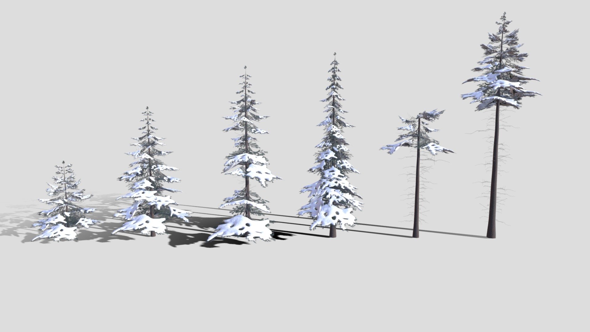 Hi all,

This is PBR Low Poly Snowy Spruce Tree Pack. The file includes 6 models in real world scale (8m - 24m).

The product has 154491 polygons.

It comes in following formats:
.blend
.fbx
.obj
.dae

The blender file has the shaders set up, so it's ready to render using Cycles and Eevee.
It also comes with set of 4K .png maps:
base color
roughness
normal
opacity
translucency - Low Poly Snowy Spruce Tree Pack - Buy Royalty Free 3D model by kambur 3d model