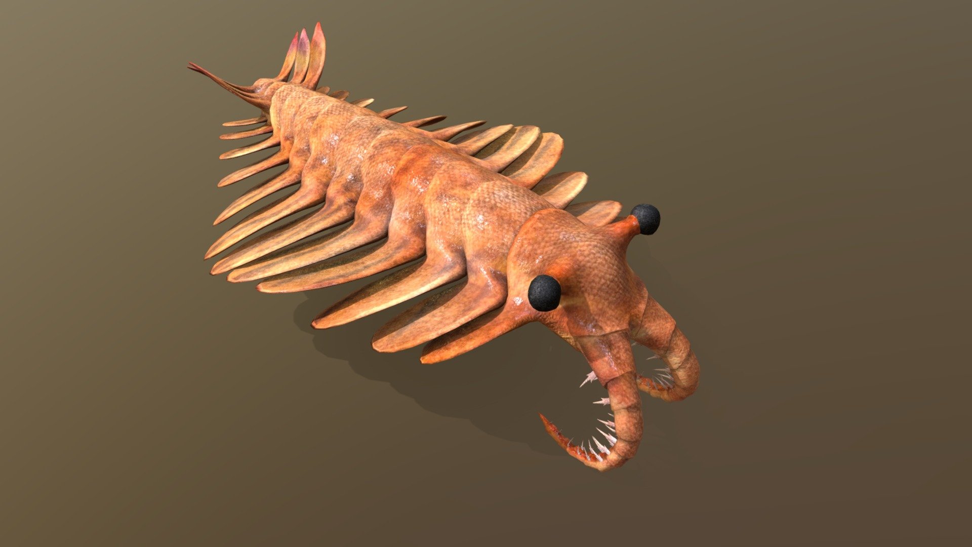 test - Anomalogaris 02 - 3D model by Warmy 3d model