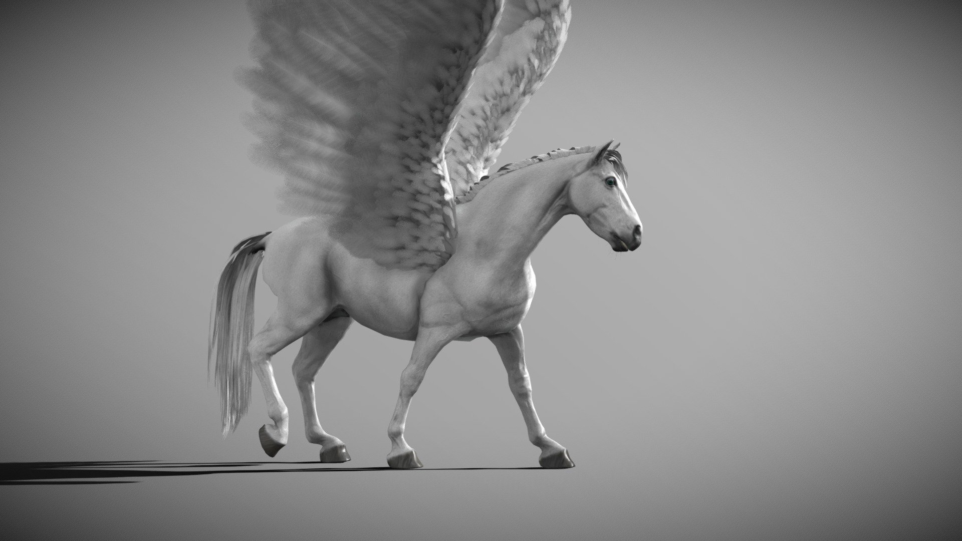 Pegasus, created in Blender, Zbrush Core and Substance Painter original blender file in the Zip folder uploaded!

In the zip folder there is the original Blender file the Unreal Engine 5 import with all material set up

Textures 4096x4096:* - body: albedo, roughness, Ambient occlusion, normal, - eyes and teeth: albedo, roughness, Ambient occlusion, normal, opacity - mane, feathers and tail: color node, normal and opacity

Pegasus is a winged horse in Greek mythology, usually depicted as a white stallion. He was sired by Poseidon, in his role as horse-god, and foaled by the Gorgon Medusa. Pegasus was the brother of Chrysaor, both born when their mother was decapitated by Perseus. Greco-Roman poets wrote about his ascent to heaven after his birth and his obeisance to Zeus, who instructed him to bring lightning and thunder from Olympus 3d model